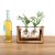 Wooden Stand Glass Planter Tabletop