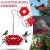 Hummingbird Feeder